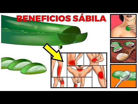 8 Benefits of Aloe Vera, Risks, Uses and Properties