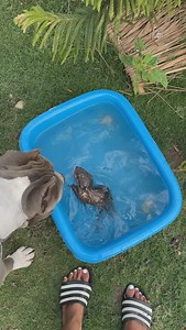 Let shower 🚿 #mosandfamily #otter | Mos&family