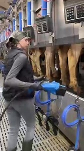 🐄 Hands-On Farm Life： Milking Cows & Feeding Calves with Pretty Farm Girls ✨ | Frazer Rubio