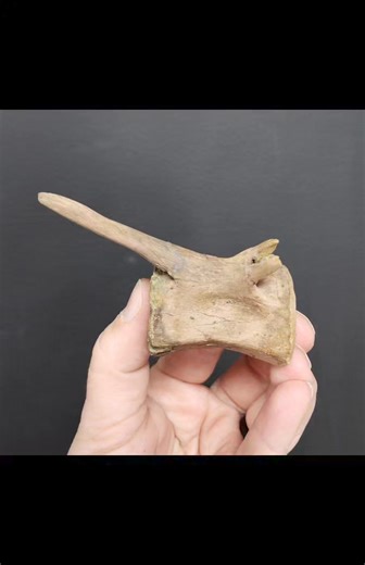 23K views · 91 reactions | 練AVAILABLE 練 Link in comments...