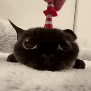 🥷 | LIL UZI VERT🎵 | SIDE MISSION📅 | 2025