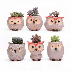 [Hot Item] Wholesale Cute Mini Succulent Plant Owl Flowerpot Wholesale Cheap Flower Pots Ceramic