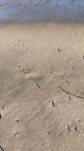 3.3K views · 52 reactions | Another beautiful day here in Misquamicut! Here is your weather report for July 3rd from our friends at 321 Media ! Download the 321 Radio app today on the App Store or Google Play for great music and hourly news and weather updates! | Misquamicut Beach | Facebook