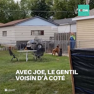 Ces beaux chiens ont été adoptés par un couple et dès le début leur joie a envahi la maison. Chaque jour est une aventure avec eux, et même le voisin est toujours très heureux de les voir. | Social