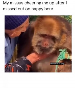 3.4K views · 78 reactions | “Not sure I’ll recover tbh” | Victor Bravo's | Facebook