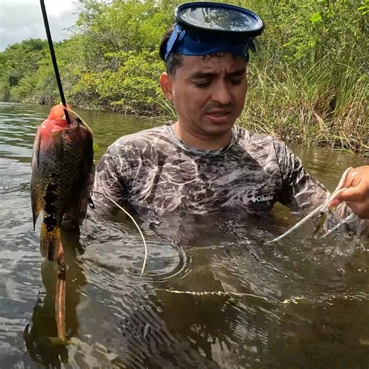 74K views · 2K reactions | mojarra | Pesca y Aventura | Facebook