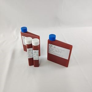 [Hot Item] Lipase (LPS) - The Ideal Choice for Clinical and Industrial Applications