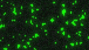 Binary, Code, Data, Computer