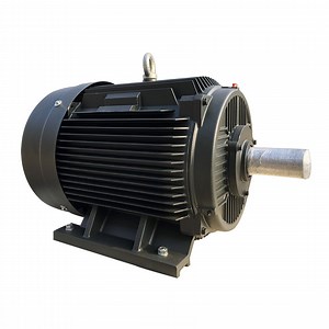 [Hot Item] Squirrel Cage Triphasic Induction AC Motor