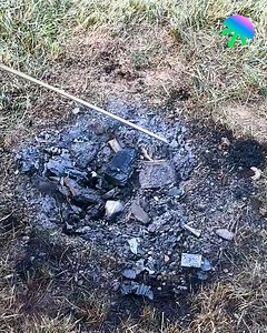 Genius Tree Stump Removal 🪵 | Genius Care