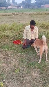 Tora Dil Hi Raat Diya 🥰💕😙😙😙😙 | Deepak Bharti