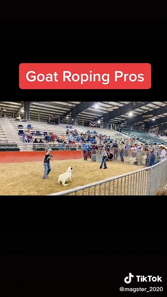 Maggie Anne on TikTok