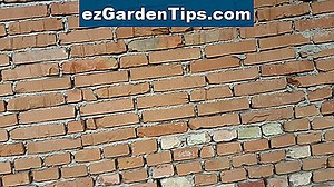 Jak ořezávat staré zarostlé jabloně 🌱 Tipy Zahradníci - Cs.ezGardenTips.com