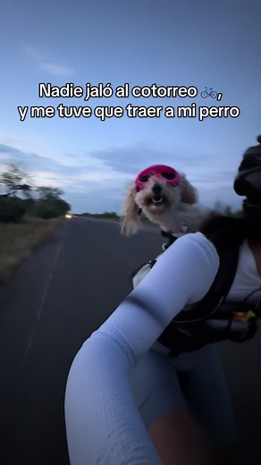 Ciclismo y Perros: Aventura en Rutas Mexicanas