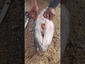 🎥 Real Footage of Bizarre Sea Creature Discoveries!...😨