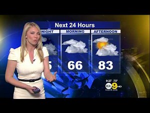 Evelyn Taft 2012/07/12 CBS2/KCAL9 HD; White dress
