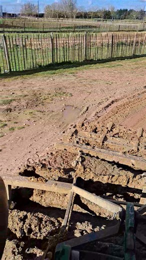 3.7K views · 23 reactions | Kennett tracks for tomorrow | WildTracks Mx | Facebook