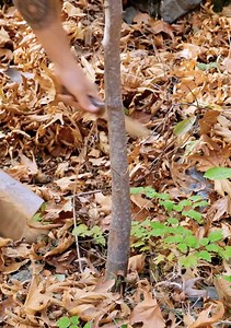 86K views · 384 reactions | Camping hacks for any outdoor enthusiast! | 5-Minute Crafts Teens | Facebook