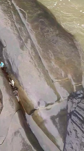 65K views · 2.6K reactions | Sahasralinga  लिंगों का निर्माण...