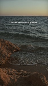 Gratitude starts with the basics. Today, let’s take a moment to...