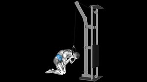 Kneeling Cable Crunch – How To Video, Alternatives & More