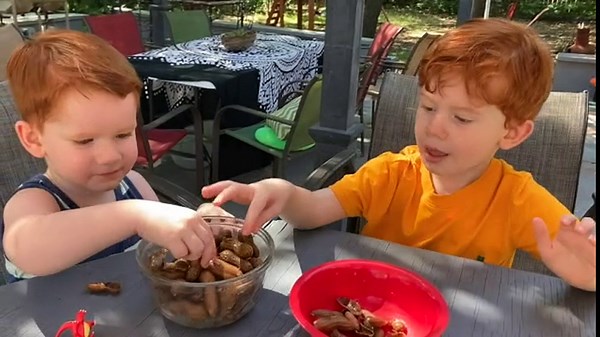 Lil' Red's Boiled Peanuts Cajun Boiled Raw Peanuts In The Shell, Hot Peanuts - Vegan, Gluten-Free, High-Protein Snack Healthy, Clean Ingredients, Ready To Eat, Non GMO, Made In Texas