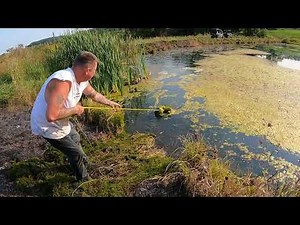 How to Remove weeds from your pond cheaply and easily. Weed removal made easy. No chemicals needed.