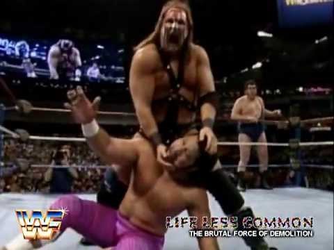 WWF Tribute - Demolition