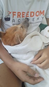 35K views · 5.8K reactions | VENICE After having a seizure this...