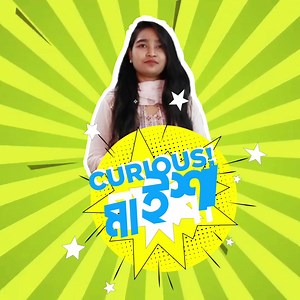 📌চাকুরিটা হয়ে গেলে, বাবাকে আর কোন কাজ করতে দিবো না, এমনও স্বপ্ন নিয়ে বেঁচে আছে এদেশের হাজারো মধ্যবিত্ত পরিবারের সন্তান। তবে এ স্বপ্ন পূরনে অনেকেই ব্যর্থ হচ্ছেন, আর তার জন্য দায়ি আপনি নিজেই। 🤩🤩 💁♀️ মনে রাখবেন, একটা ভার্সিটি লাইফের ডিগ্রি থেকে পাওয়া নলেজ/স্কিল দিয়ে একটা জীবন পার করতে পারবেন না। বাপ-চাচারা পারলেও আপনি পারবেন না। যুগের সাথে তাল মিলিয়ে হয় নিজেকে গ্রো করতে হবে, না হয় অকেজো হয়ে খাটের তলায় পড়ে থাকতে হবে। ধুলা খেতে হবে। 😀😀 ‼ ক্যারিয়ার আপনার , পথ দেখাবো আমরা ‼ নিজের এচিভমেন্টকে সেলি