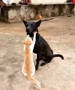 50K views · 842 reactions | Posting something about this pic would be much helpful for our site rather than just watching it. Thank you! | Life Story | Facebook