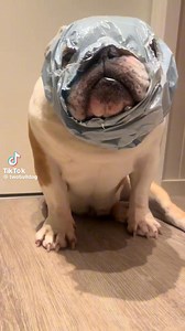 Irish Crimewave 🇮🇪 | IRISH STUFF