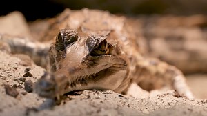 3.7K views · 262 reactions | Have you seen more stunning smiles?...