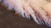 High aerial fly over view of a grass fire in the Okavango Delta,...