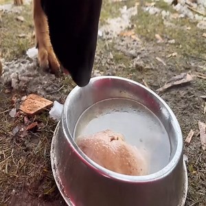 8.3K views · 81 reactions | Hot Tent Camping In A Snowstorm ! | Elsie Valencia | Facebook