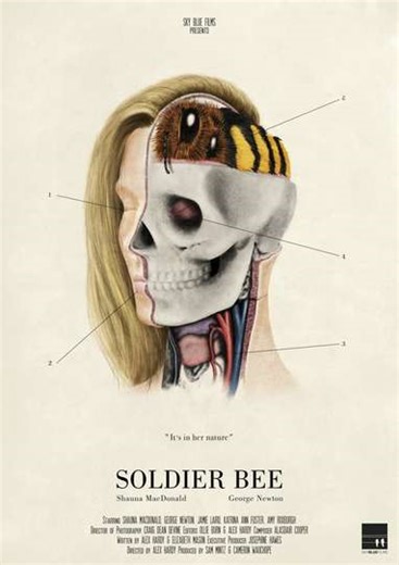 Soldier Bee - Movie
