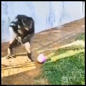 1.2M views · 37K reactions | Con-Tractor full body massage  #justforfunreels #goodvibesonly #katatawanan #enjoy | Lloyd Ayaton Culebra | Facebook