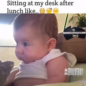 19K views · 545 reactions | Developer after lunch: agree or not!! | C# Corner | Facebook