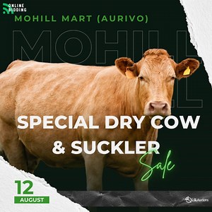 Get ready to be part of the buzz at MOHILL MART (AURIVO), as we present the exhilarating SPECIAL DRY COW & SUCKLER SALE on Saturday, 12th August! 🎉 Be sure to note this exceptional event in your calendars! Don't let this fantastic chance slip away to observe and participate in the bidding for exceptional livestock of the highest quality. 🌟💰 Guarantee your place by registering today and prepare for an exciting experience with the LSL Auctions App! 📲🤩 #SpecialSale #LivestockAuction #RegisterN
