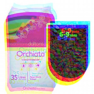 Grab it while it’s hot! → https://secretgarden.ro Hibiscus moscheutos 'Carousel Ghost' (hibiscus de gradina) - 75 RON - https://secretgarden.ro/products/hibiscus-moscheutos-carousel-ghost-hibiscus-de-gradina Hibiscus moscheutos Carousel ‘Jolly Heart’ (hibiscus de gradina) - 75 RON - https://secretgarden.ro/products/hibiscus-moscheutos-carousel-jolly-heart-hibiscus-de-gradina Heat Pack XL (72 hours) - 15 RON - https://secretgarden.ro/products/heat-pack-xl-72-h Orchiata - Substrat (scoarta) pentru