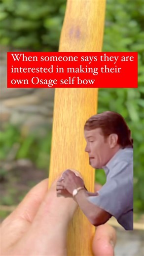 1.4K views · 117 reactions | Self bows, or bows made from one piece...