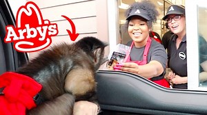 MonkeyBoo surprises the Arby's drive thru and gets a funny reaction from the people at the window! 🙈 As you can see... they were NOT expecting to see a monkey at work today. 😂 | MonkeyBoo