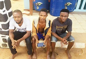 Police rescue kidnapped Madonna University student, arrest suspects - OtownGist Media