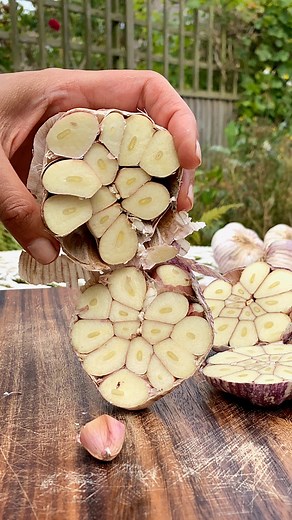 This easy homemade roasted garlic butter is a mouthwatering addition to veggies, meats, and more! https://www.alphafoodie.com/homemade-roasted-garlic-butter/ #garlic #garlicbread #garlicbutter #compoundbutter | AlphaFoodie