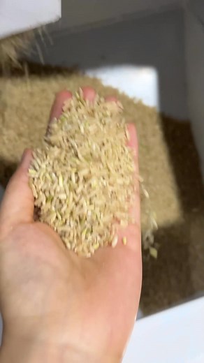 83K views · 1.2K reactions | Our Nigerian friends visited our factory to select machine, and they were very satisfied after seeing the machines. #rice #machine #quickly | Small commercial rice huller | Facebook