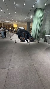 South Korea's giant dachshund sculpture, nicknamed Sunshine, is a hyperrealistic, ‘breathing’ art installation