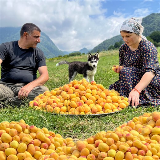 2.3M views · 101K reactions | Harvested Sweet Mountain Apricots! Making Oriental Homemade Sweets from Fresh Fruits ❤️ #rustic #dessert #sweetness | Faraway Village Family | Facebook