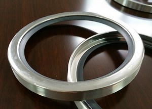 [Hot Item] PTFE Stainless Steel Oil Seal, Ss PTFE Carbon Oil Seal
