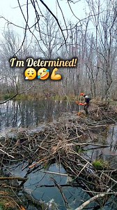 11K views · 170 reactions | Ooo Beeeaverrrs!! Can You Hear That!! We're Getting It Flowing! | Beaver Dam Removal! #beaverdamremoval #beaverdam #beaverchairdam #damremoval #beavers #dam #drain #draining #water #nature #hunting #unclogging #creek #terrellspivey #viralreels #viralvideo #FBVIDEO #viralFBvideo #reels #fypシ゚ #foryoupageシ #fypシ #fbreels #viralfbreels #reelsviralfb #fbreelsfypシ゚viral | Terrell Spivey | Facebook