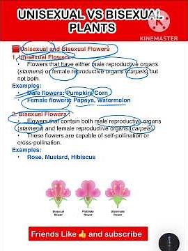 Unisexual and Bisexual Flowers | Class 10 Biology | #scienceshorts #plantanatomy #ncertscience